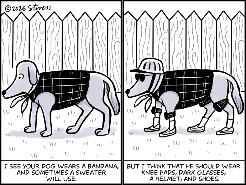 Your dog wears a bandana